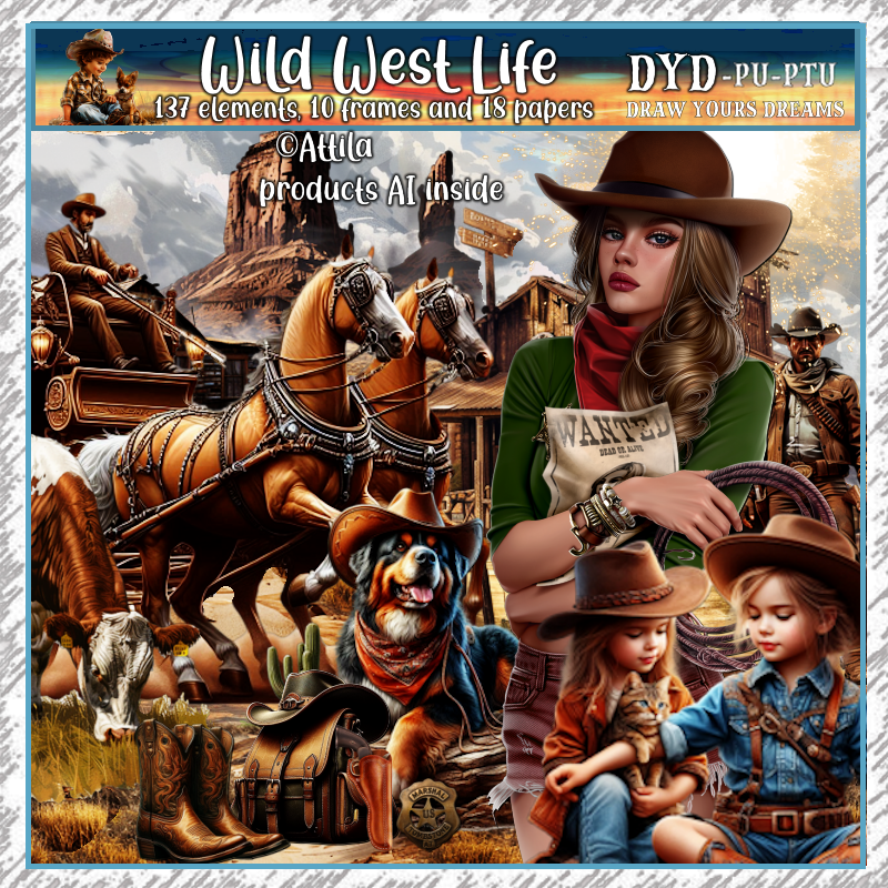 (image for) Wild West Life